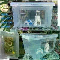 ราคา [COD] กล่องเลี้ยงสัตว์​ กล่องDIYเลี้ยง​ เม่นแคระ,หนูแฮมส์เตอร์,ชูก้า,กระรอก,นกงู-อื่นๆ (1732181380178413936)