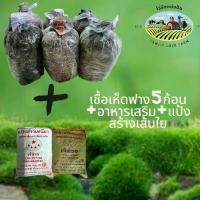 ราคา เชื้อเห็ดฟางชุดละ 210 บาท เห็ดฟาง5ก้อน +อาหารเสริม+แป้งสร้างเส้นใย (1729592002198145875)