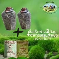 ราคา เชื้อเห็ดฟาง ชุดละ 180 บาท เห็ดฟาง2ก้อน +อาหารเสริม+แป้งสร้างเส้นใย (1729591998830709587)
