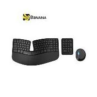 ราคา Microsoft Wireless Keyboard + Mouse Sculpt Ergonomic Desktop by Banana IT (1729578215466044182)