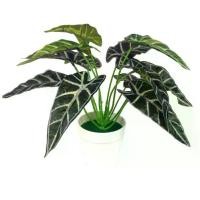 ราคา เต่าจำลอง, กระถางต้นไม้สีเขียว, เครื่องประดับตกแต่งในร่ม ดอก พุด ต้น ทานตะวัน ปลอม ดอน พลับพลึง โปรยทาน ต้น ผีเสื้อ ราตรี ต้น แก้วแคระ พวงมณี ต้น เฉาก๊วย แห้ง ต้น เดซ (1731453614866269712)