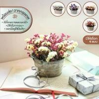 ราคา Rustic Blooming เซ็ทกระถางสังกะสี+ดอกไม้แห้ง | อบ แห้ง ธัญพืช ต้นไม้ ดอกไม้ ใบไม้ ไม้เลื้อย ไม้ประดับ กิ่ง ก้าน กระถาง สินค้าขายดี (1731634072756847967)