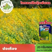 ราคา [แพ็ค 5 ซอง] 3A เมล็ดพันธุ์ ปอเทือง ขนาดซองละ20กรัม ประมาณ1,000เมล็ด/ซอง SUNN HEMP คำบูชา เทือง บัวสา เมล็ดพันธุ์พืช เมล็ดผัก ปลูกผักสวนครัว (1729622295878338569)