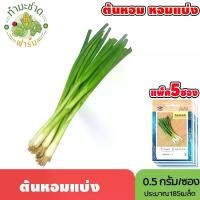 ราคา [แพ็ค 5 ซอง] เจียไต๋ เมล็ดพันธุ์ ต้นหอมแบ่ง ขนาดซองละ0.5กรัม ประมาณ185เมล็ด/ซอง Bunching Onion ต้นหอม หอมแบ่ง เมล็ดพันธุ์พืช เมล็ดผัก ปลูกผักสวนครัว (1730947727858042889)