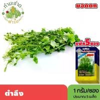 ราคา [แพ็ค 5 ซอง] 3A เมล็ดพันธุ์ ตำลึง ขนาดซองละ1กรัม ประมาณ5เมล็ด/ซอง IVY GOURD ยอดตำลึง เมล็ดพันธุ์พืช เมล็ดผัก ปลูกผักสวนครัว (1729622169414764553)