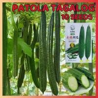 ราคา เมล็ดพันธุ์ ต้นหอมญี่ปุ่น ต้นหอม คุณภาพ 10 เมล็ด เมล็ดพันธุ์ ผัก Patola Tagalog Seeds เมล็ดผักสวนครัว อัตรางอกสูง! เมล็ดพันธุ์พืช เมล็ดดอกไม้ พรรณไม้ ต้นไม้ เมล็ดพันธุ์ผัก พันธุ์ (1731344858430146219)