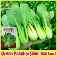 ราคา เมล็ดสด100% ผักเบบี้ฮ้องเต้ เมล็ดพันธุ์ Green Pak Choi Seeds Organic Vegetable Seeds for Planting กวางตุ้งฮ่องเต้ เมล็ด กวางตุ้ง เมล็ดพันธุ์ ผักกาด กวางตุ้ง ก้านขาว ผักออร์แกนิก (1732092990568565517)