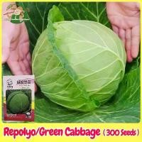 ราคา เมล็ดพันธุ์ กะหล่ำปลี เขียว กะหล่ำปลียักษ์ บรรจุ 300เมล็ด Green Cabbage Seed Organic Vegetable Seeds for Planting เมล็ดพันธุ์แท้ OP แท้ เมล็ดกะหล่ำปลี เมล็ดพันธุ์ผัก ผักสวนครัว ป (1732092950964439821)