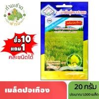 ราคา 3A (ซื้อ10แถม1) เมล็ดพันธุ์ ปอเทือง ขนาด20กรัม ประมาณ1,000เมล็ด SUNN HEMP คำบูชา เทือง บัวสา มะคำไก่ดง เมล็ดพันธุ์พืช เมล็ดผัก ปลูกผักสวนครัว (1729624280569907209)