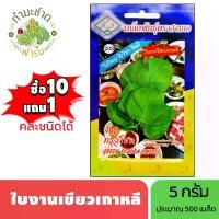 ราคา 3A (ซื้อ10แถม1) เมล็ดพันธุ์ ใบงาเขียวเกาหลี ขนาด 5 กรัม ประมาณ 500 เมล็ด GREEN PERILLA (Shiso) ใบชิโสะเกาหลี ใบงาเกาหลี เมล็ดพันธุ์พืช เมล็ดผัก ปลูกผักสวนครัว (1729624218845874185)