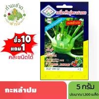 ราคา 3A (ซื้อ10แถม1) เมล็ดพันธุ์ กะหล่ำปม ขนาด 5 กรัม ประมาณ 1,350 เมล็ด KOHLRABI โคราบิ กะหล่ำปม เมล็ดพันธุ์พืช เมล็ดผัก ปลูกผักสวนครัว (1729624203752802313)