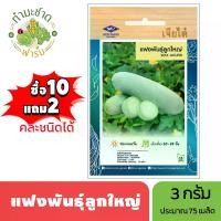 ราคา เจียไต๋ (ซื้อ10แถม2) เมล็ดพันธุ์ แฟงพันธุ์ลูกใหญ่ ขนาด3กรัม ประมาณ75เมล็ด Wax Gourd แฟง เมล็ดพันธุ์พืช เมล็ดผัก ปลูกผักสวนครัว (1729638496125290505)