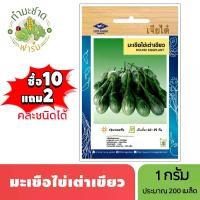 ราคา เจียไต๋ (ซื้อ10แถม2) เมล็ดพันธุ์ มะเขือไข่เต่าเขียว ขนาด1กรัม ประมาณ200เมล็ด Round Eggplant มะเขือไข่เต่า เมล็ดพันธุ์พืช เมล็ดผัก ปลูกผักสวนครัว (1729639072739133449)
