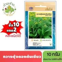 ราคา เจียไต๋ (ซื้อ10แถม2) เมล็ดพันธุ์ กวางตุ้งดอกต้นเขียว ขนาด10กรัม ประมาณ3,900เมล็ด Flowering Pak Choy กวางตุ้ง เมล็ดพันธุ์พืช เมล็ดผัก ปลูกผักสวนครัว (1729634001033005065)