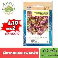 ราคา เจียไต๋ (ซื้อ10แถม2) เมล็ดพันธุ์ ผักกาดหอมเพอเพิล ขนาด0.2กรัม ประมาณ1,000เมล็ด Purple Lettuce ผักสลัด เมล็ดพันธุ์พืช เมล็ดผัก ปลูกผักสวนครัว (1729634312293681161)