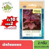 ราคา เจียไต๋ (ซื้อ10แถม2) เมล็ดพันธุ์ ผักโขมแดง ขนาด2กรัม ประมาณ2,500เมล็ด Red Amaranth ผักโขม เมล็ดพันธุ์พืช เมล็ดผัก ปลูกผักสวนครัว (1729636468330629129)
