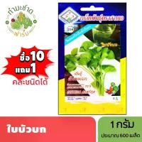 ราคา 3A (ซื้อ10แถม1) เมล็ดพันธุ์ ใบบัวบก ขนาด 1 กรัม ประมาณ 600 เมล็ด CENTELLA ASIATICA ผักหนอก ผักแว่น กะบังนอก เมล็ดพันธุ์พืช เมล็ดผัก ปลูกผักสวนครัว (1729624221963683849)
