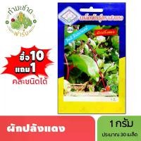 ราคา 3A (ซื้อ10แถม1) เมล็ดพันธุ์ ผักปลังแดง ขนาด1กรัม ประมาณ30เมล็ด RED CEYLON SPINACH ผักปั๋ง เมล็ดพันธุ์พืช เมล็ดผัก ปลูกผักสวนครัว (1729625375076288521)