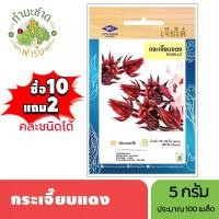 ราคา เจียไต๋ (ซื้อ10แถม2) เมล็ดพันธุ์ กระเจี๊ยบแดง ขนาด5กรัม ประมาณ120เมล็ด Roselle กระเจี๊ยบ เมล็ดพันธุ์พืช เมล็ดผัก ปลูกผักสวนครัว (1729651417911035913)