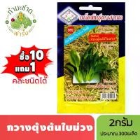 ราคา 3A (ซื้อ10แถม1) เมล็ดพันธุ์ กวางตุ้งต้นใบม่วง ขนาด2กรัม ประมาณ300เมล็ด PURPLE CHOI SUM ผักกาดกวางตุ้ง บล็อกฉ่อย กวางตุ้งฮ่องเต้ เมล็ดพันธุ์พืช เมล็ดผัก ปลูกผักสวนครัว (1730479801888638985)