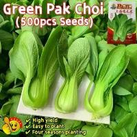 ราคา ปลูกง่าย ปลูกได้ทั่วไทย (500เมล็ด/ซอง) ผักเบบี้ฮ้องเต้ เมล็ดพันธุ์ Green Pak Choi Seeds Organic Vegetable Seeds for Planting กวางตุ้งฮ่องเต้ เมล็ด กวางตุ้ง เมล็ดพันธุ์ ผักกาด กวา (1732050129602448063)