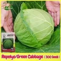 ราคา เมล็ดพันธุ์ กะหล่ำปลี เขียว กะหล่ำปลียักษ์ บรรจุ 300เมล็ด Green Cabbage Seed Organic Vegetable Seeds for Planting เมล็ดพันธุ์แท้ OP แท้ เมล็ดกะหล่ำปลี เมล็ดพันธุ์ผัก ผักสวนครัว ป (1731633323152213463)
