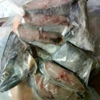 ราคา ปลาอินทรีย์เค็มหอม (500กรัม160บาท) ปลาเค็ม อาหารแห้ง อาหารทะเล (1730735591507266444)