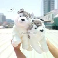 ราคา ตุ๊กตา Cutie Siberian Husky ไซบีเรียน ฮัสกี้ ท่านั่ง/นอน 6/9/12นิ้ว ไซบีเรียนฮัสกี้ แนะนำ (1731656801457244646)