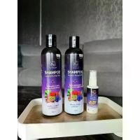 ราคา (ยกเซ็ตแชมพู 2 เซรั่ม 1)แชมพูพรทิน่า แชมพู สมุนไพร พรทิน่า Shampoo Pontina (1731186729252259441)