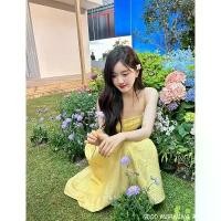 ราคา เดรสสีเหลือง สไตล์ฝรั่งเศส ชิคๆ มินิมอล สำหรับผู้หญิง มีเชือกแขวนคอ เปลือยหลัง ชุด เทป เสือ ผ้า คน อ้วน เดรส ให้ นม (1731462157609961144)