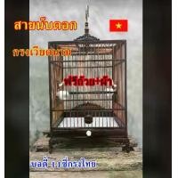 ราคา กรงนกเวียดนาม แกะลายขาสิงห์ สายนับดอก กรงนกหัวจุก ***ฟรี อุปกรณ์*** (1729891552789170453)