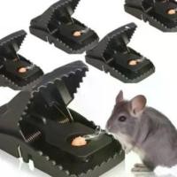 ราคา ที่ดักหนู กับดักหนู อุปกรณ์ดักหนู กับดักหนูบ้าน แบบสปริง ใช้งานง่าย ผลิตภัณฑ์ ล้าง จาน โปร ยกลัง (1731771796560643178)