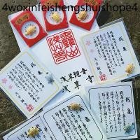 ราคา พร้อมส่งในไทย-ราคาถูกที่สุดเครื่องราง เต่าโชคดี โกลเด้นโลหะผสม เรียกทรัพย์ เครื่องราง ของมงคล ครอบครัว สุขภาพ-Move.th (1731951052109613734)