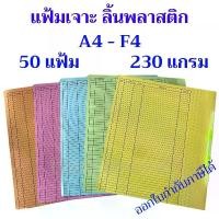 ราคา 50 แฟ้ม แฟ้มเจาะกระดาษคลิปพลาสติก ไทย-ไท Niji นิจิ ขนาด A4 F4 ลิ้นแฟ้มพลาสติก คละสี (1730518770110072844)
