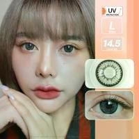 ราคา Nudy (Gray) ค่าสายตา 0.00-10.00 คอนแทคเลนส์ (1729644180923386094)