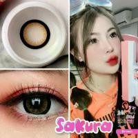ราคา Sakura Brown คอนแทคเลนส์ ตาโต (สายตา -50 ถึง -1000) Contactlens ดวงตา (1731367383940172172)
