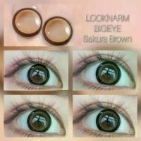 ราคา Creamy Nara brown มีครบสายตา คอนแทกเลนส์ ตาโต Sakura brown (สายตา 00 ถึง -1000) คอนแทคเลนส์ sakura brown ka สีเทา (1729584038512134540)