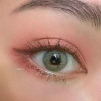 ราคา คอนแทคเลนส์ สีเทาไร้ขอบ mini Ava gray (1729604146371397786)