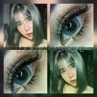 ราคา Pony, Adele eos Gray Brown,คอนแทคเลนส์ ตาโต สายตา 50-700 (1729584524911872396)