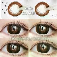 ราคา Circle brown, Choco (Dia 14.5) คอนแทคเลนส์ ตาโต (1729583431140673932)