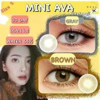ราคา คอนแทคเลนส์ Mini Ava ขนาดมินิ Brown/Gray จาก Kitty Kawaii (15Dia 14.2mm) ดวงตา Contactlens (1731791154821826580)