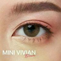 ราคา Vivian brown (Kitty Kawaii) ขนาดมินิ mini กรองแสง uv เลนส์แท้จดทะเบียนถูกต้อง (บิ๊กอาย คอนแทคเลนส์ Bigeye (1729611953288022946)