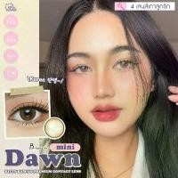 ราคา คอนแทคเลนส์ ขนาดมินิ Mini Dawn (kittykawaii) สี : Brown / Gray / Light Brown (1729989705171110227)