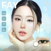 ราคา คอนแทคเลนส์ Mini Fay brown / gray (1730481522046437765)
