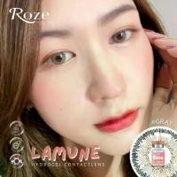 ราคา คอนแทคเลนส์ Rozelens รุ่น Lamune gray/brown (1729982731152492933)