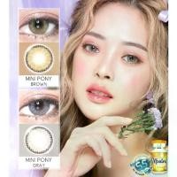ราคา คอนแทคเลนส์(มินิ) Mini Pony Brown / Gray (Montra) ลายฮิต ขายดีมาก กรองแสงกันยูวี (1730761688821631416)