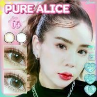 ราคา คอนแทคเลนส์ ขนาดบิ๊กอายโตมาก สี Brown/Gray : Pure alice (Shinee) (1729765301512014498)