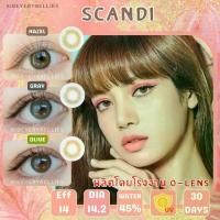 ราคา คอนแทคเลนส์ ขนาดมินิ สีน้ำตาล/เทา/เขียว Scandi Sweety Soft (1729602151149242707)