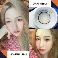 ราคา คอนแทคเลนส์ ขนาดบิ๊กอาย ✨Opal (Montra) Brown/Gray (1730673494995732498)