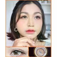 ราคา คอนแทคเลนส์ ขนาดบิ๊กอาย ❤️Opal (Montra) สี : Brown (1730300604892023123)